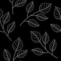 Seamless pattern autumn leaves black background vector illustration Royalty Free Stock Photo